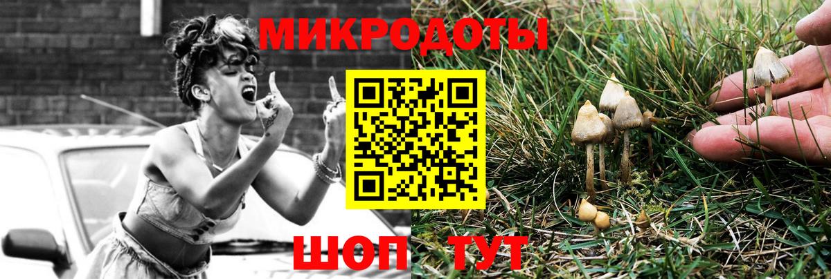 Псилоцибиновые грибы Psilocybine cubensis Нерюнгри
