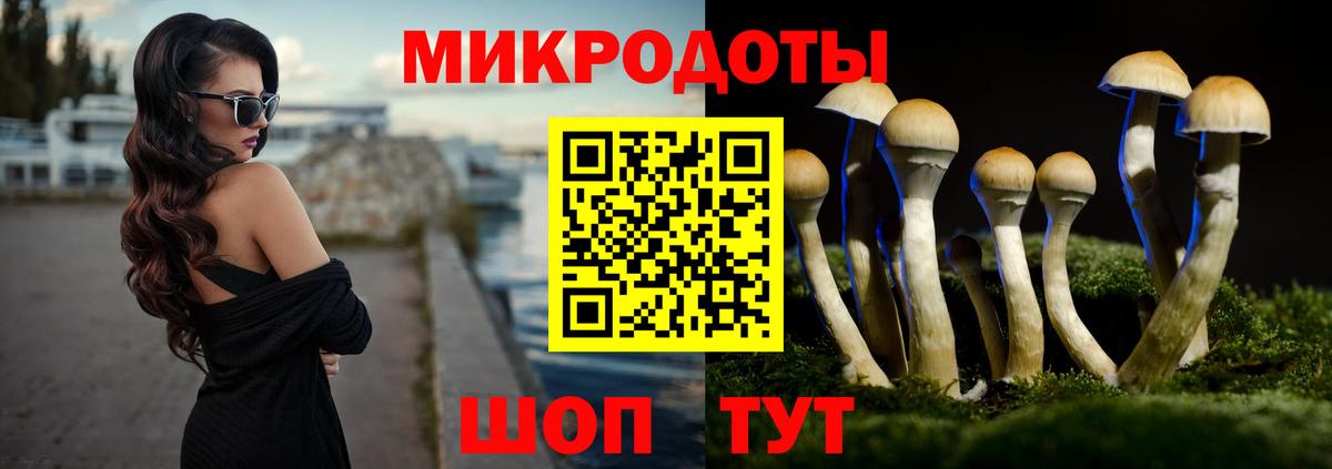 Нерюнгри  Псилоцибиновые грибы Psilocybe  Вход с VPN  Псилоцибиновые грибы Cubensis 